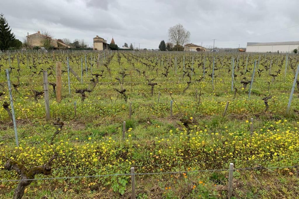 Chateau Roseyrol Proche Saint-Emilion Exterior photo
